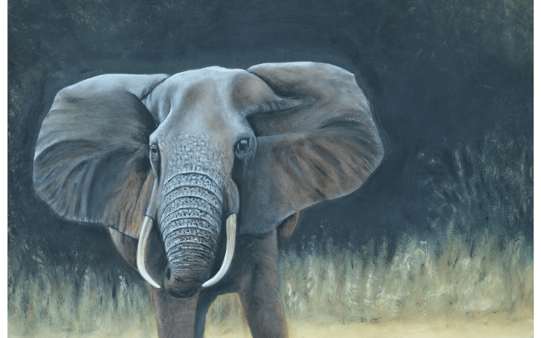 Eléphant
