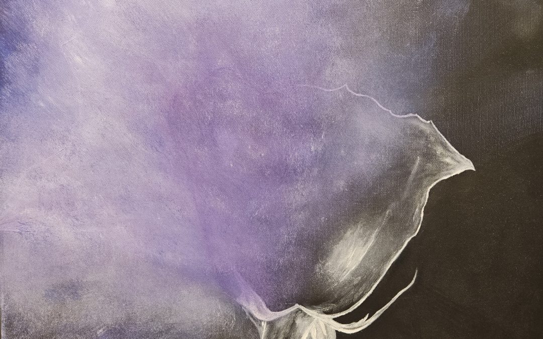 Evaporation d’une rose
