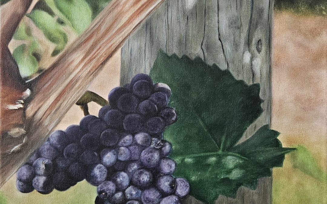Grappe de raisins rouges