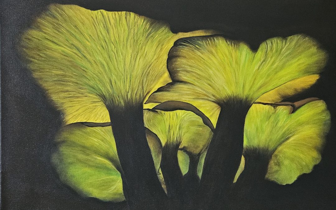 Champignons psychédéliques
